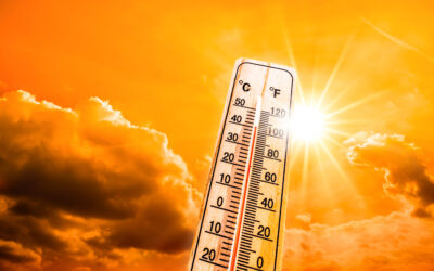 10 Ways To Beat The Heat & Save Money On Your Energy Bill This Summer